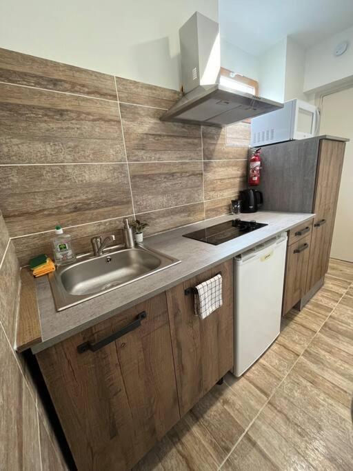 Superbe Appartement A 15 Min De Lyon Saint-Fons Esterno foto